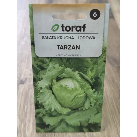 Sałata krucha lodowa Tarzan